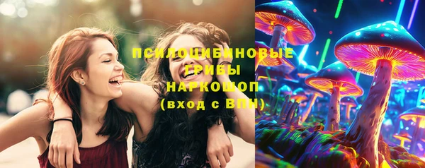 гидропоника Балахна