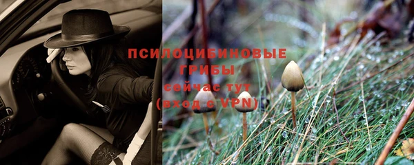 винт Остров